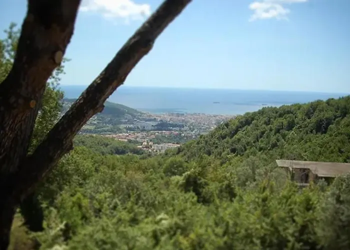 B&B Nini & Events By Elodeagroup 3*