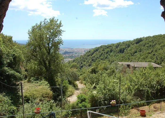 Nini & Events By Elodeagroup Bed & Breakfast 3*